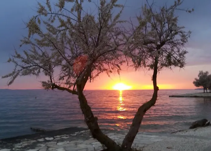 Basioli * Zadar