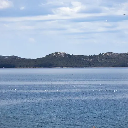 Basioli *