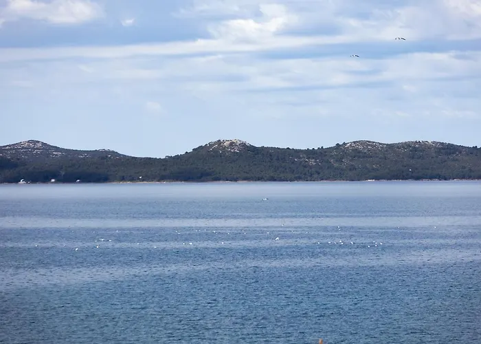 Basioli *